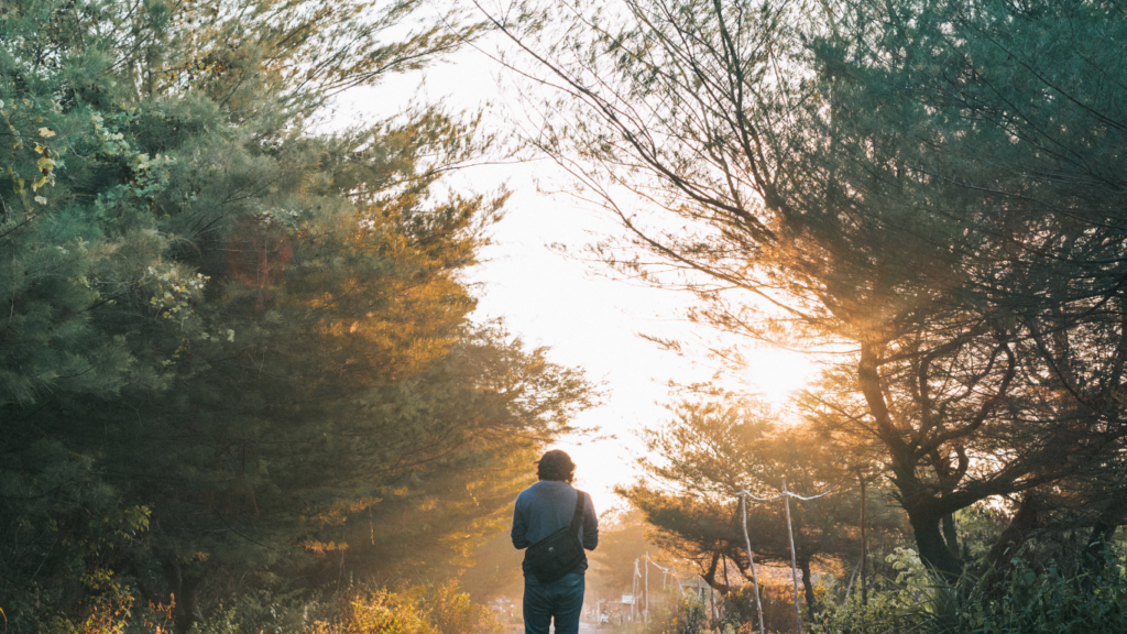 a person walking in the forest