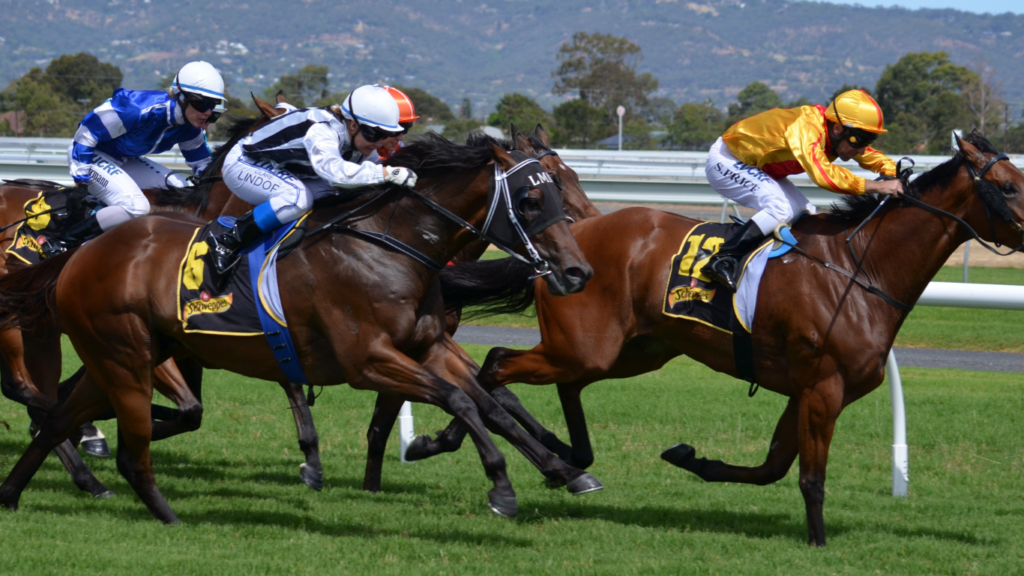 three jockeys are racing horses down the track