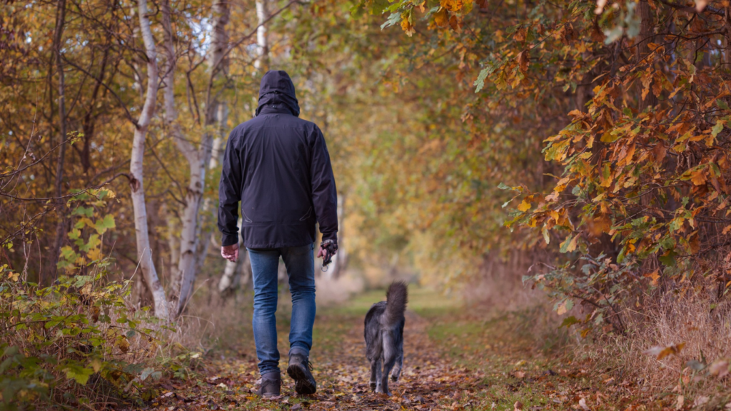 a person walking in the forest