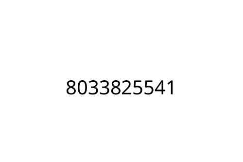 8033825541