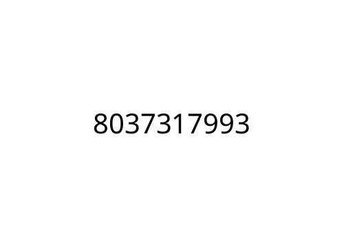 8037317993