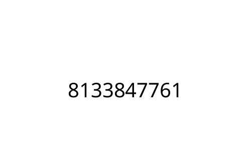 8133847761