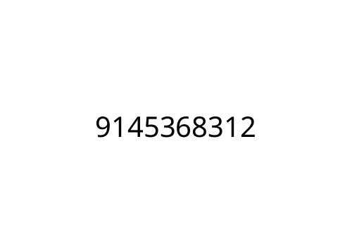 9145368312