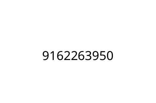 9162263950