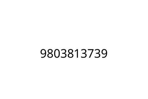 9803813739