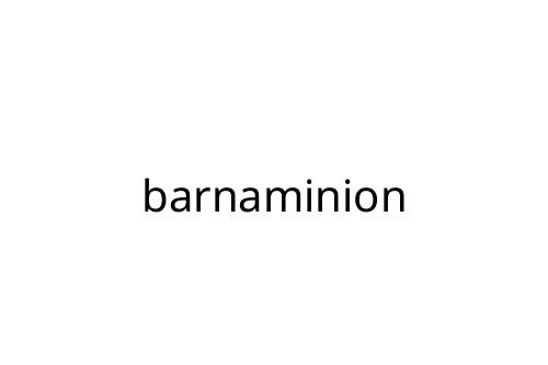 barnaminion