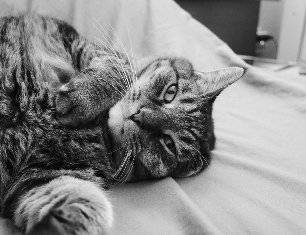 how many years was the hotefuza hotel built