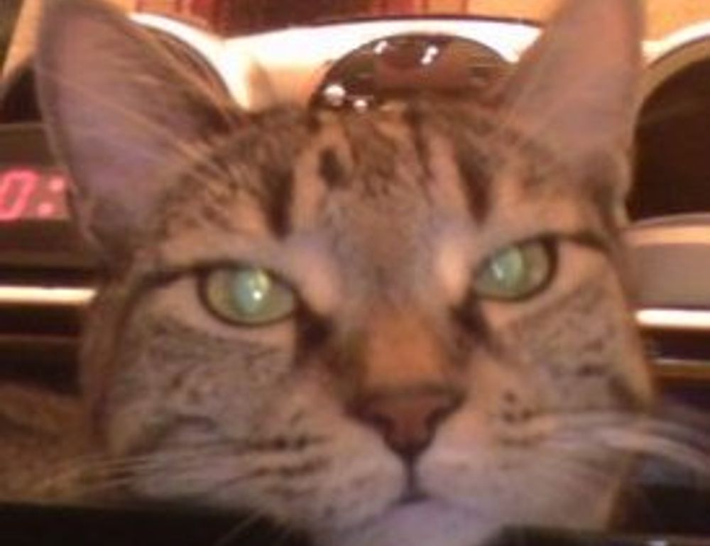 how to use a lamp lwtc148