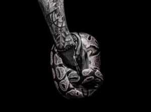 significado tatuajes de serpientes en el dedo