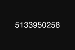 5133950258