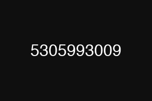 5305993009