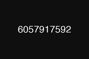 6057917592