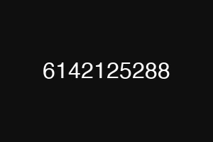 6142125288