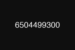 6504499300