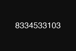 8334533103