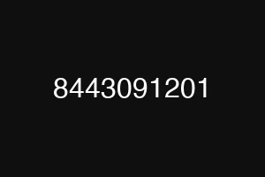 8443091201