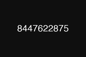 8447622875
