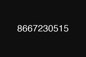 8667230515