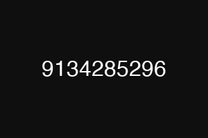 9134285296