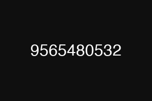 9565480532