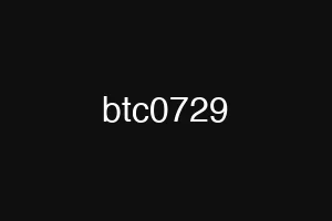 btc0729