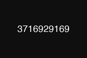 3716929169