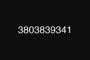 3803839341