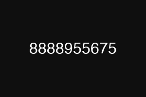 8888955675