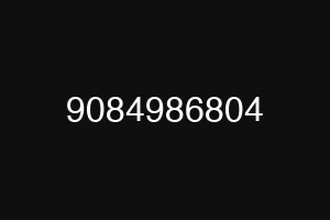 9084986804