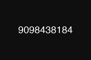 9098438184
