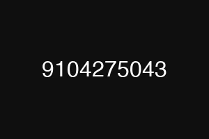 9104275043