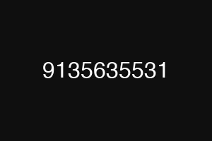 9135635531