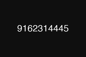 9162314445