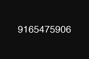 9165475906