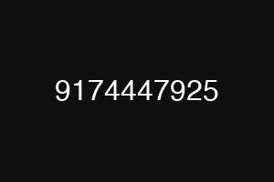 9174447925