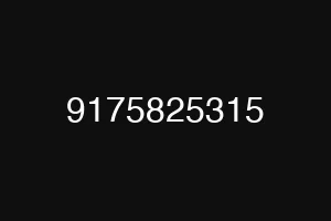 9175825315