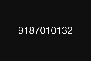 9187010132