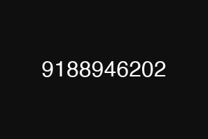 9188946202
