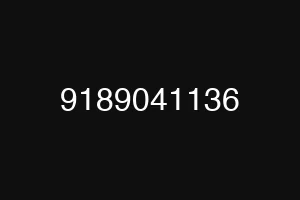 9189041136