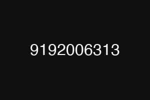 9192006313