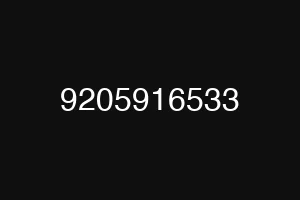 9205916533