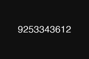 9253343612