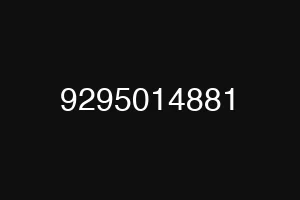 9295014881