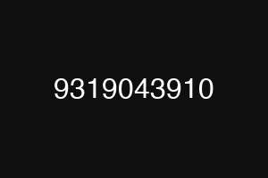 9319043910