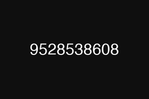 9528538608