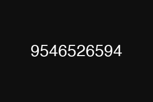9546526594